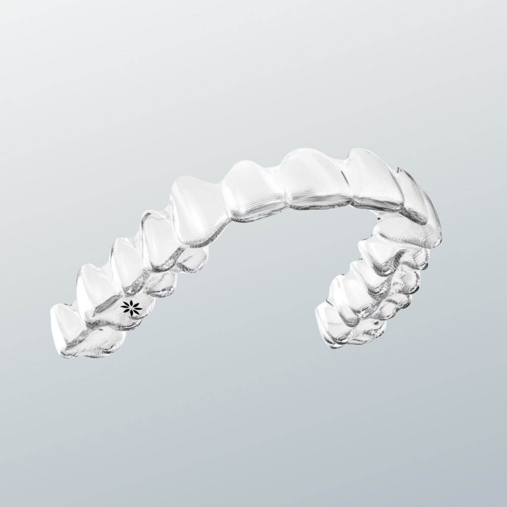 aligner02